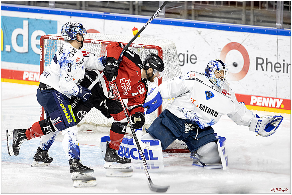 PENNY DEL;  Koelner Haie - ERC Ingolstadt; Koeln, 19.12.2021